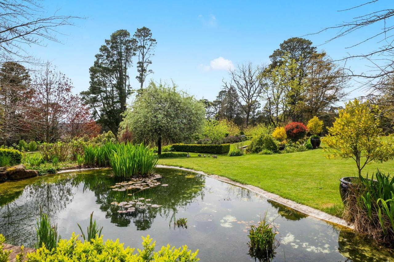 Parklands Country Gardens & Lodges Blue Mountains Blackheath Eksteriør billede