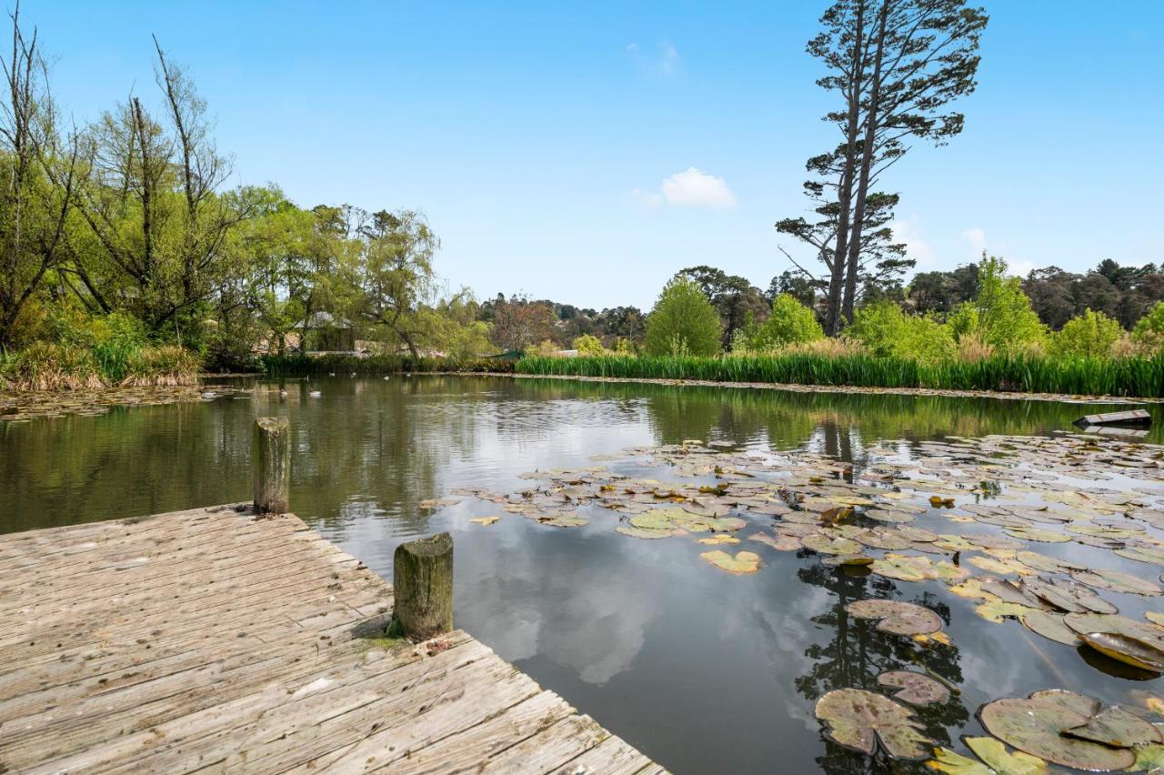 Parklands Country Gardens & Lodges Blue Mountains Blackheath Eksteriør billede
