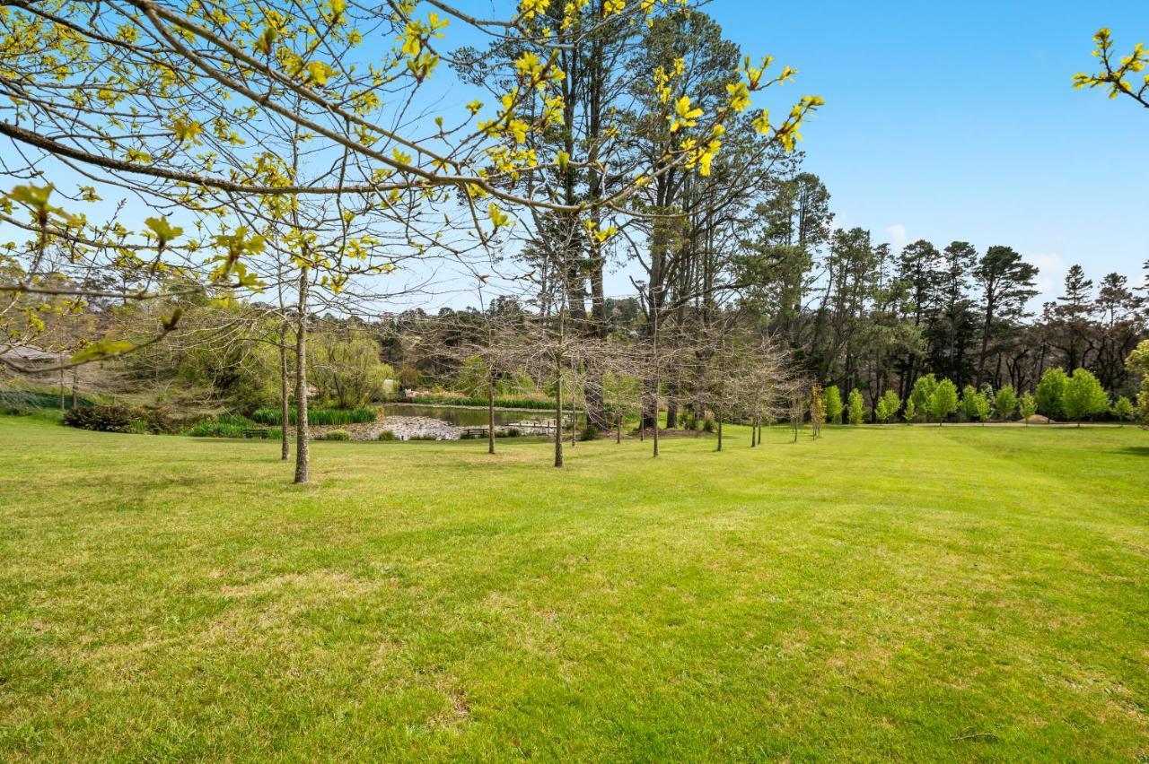 Parklands Country Gardens & Lodges Blue Mountains Blackheath Eksteriør billede